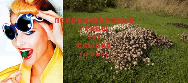 индика Богородицк
