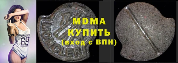индика Богородицк
