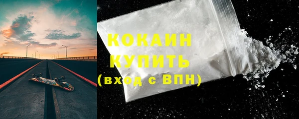 индика Богородицк