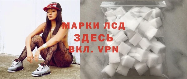 индика Богородицк