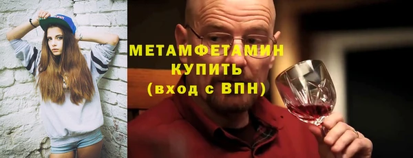 индика Богородицк