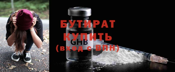 индика Богородицк