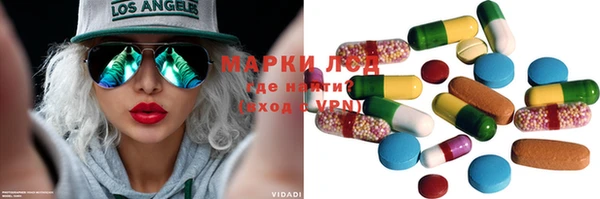 индика Богородицк