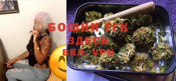 индика Богородицк