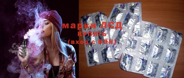 индика Богородицк