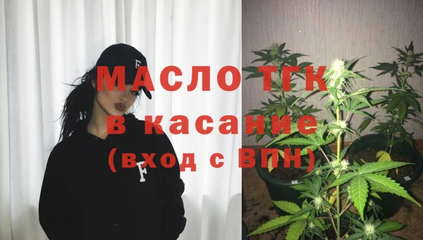 индика Богородицк
