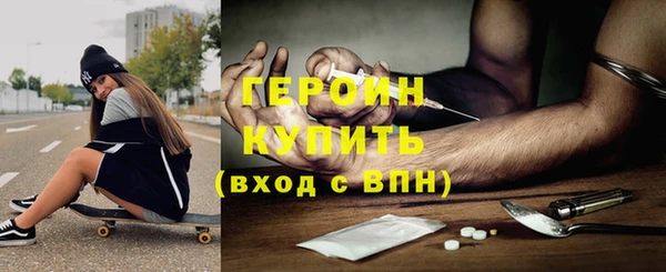 индика Богородицк