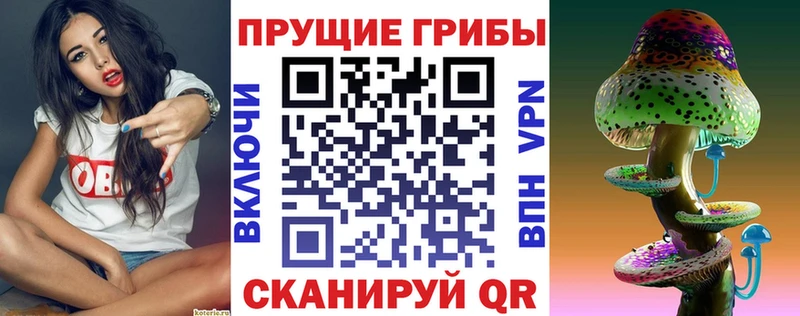 Купить где  Петушки  Псилоцибиновые грибы GOLDEN TEACHER 